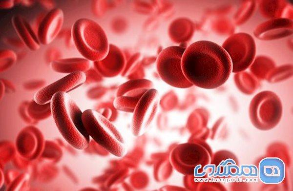 کدام گروه خونی در معرض ابتلا به بیماری کرونا است؟