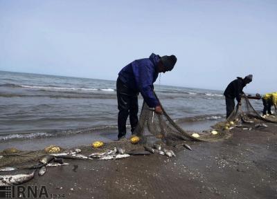 خبرنگاران کرونا ، صید ماهیان استخوانی را در مازندران نصف کرد