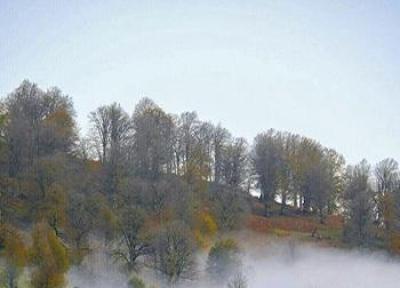 سیلوانا ؛ یکی از 19 منطقه دنیا که اکسیژن خالص دارد، عکس
