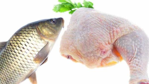 دلایل افزایش قیمت ماهی در چهارمحال و بختیاری
