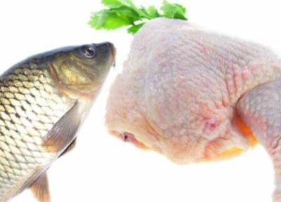 دلایل افزایش قیمت ماهی در چهارمحال و بختیاری