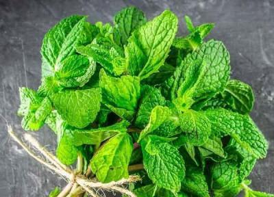 سبزی شگفت انگیزی که روزه داران حتما باید بخورند